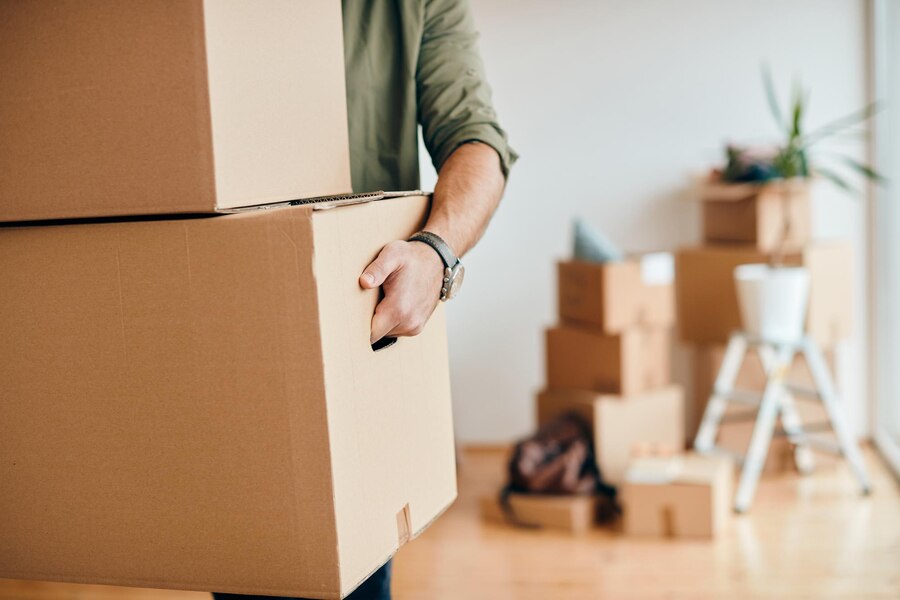 removalists zetland