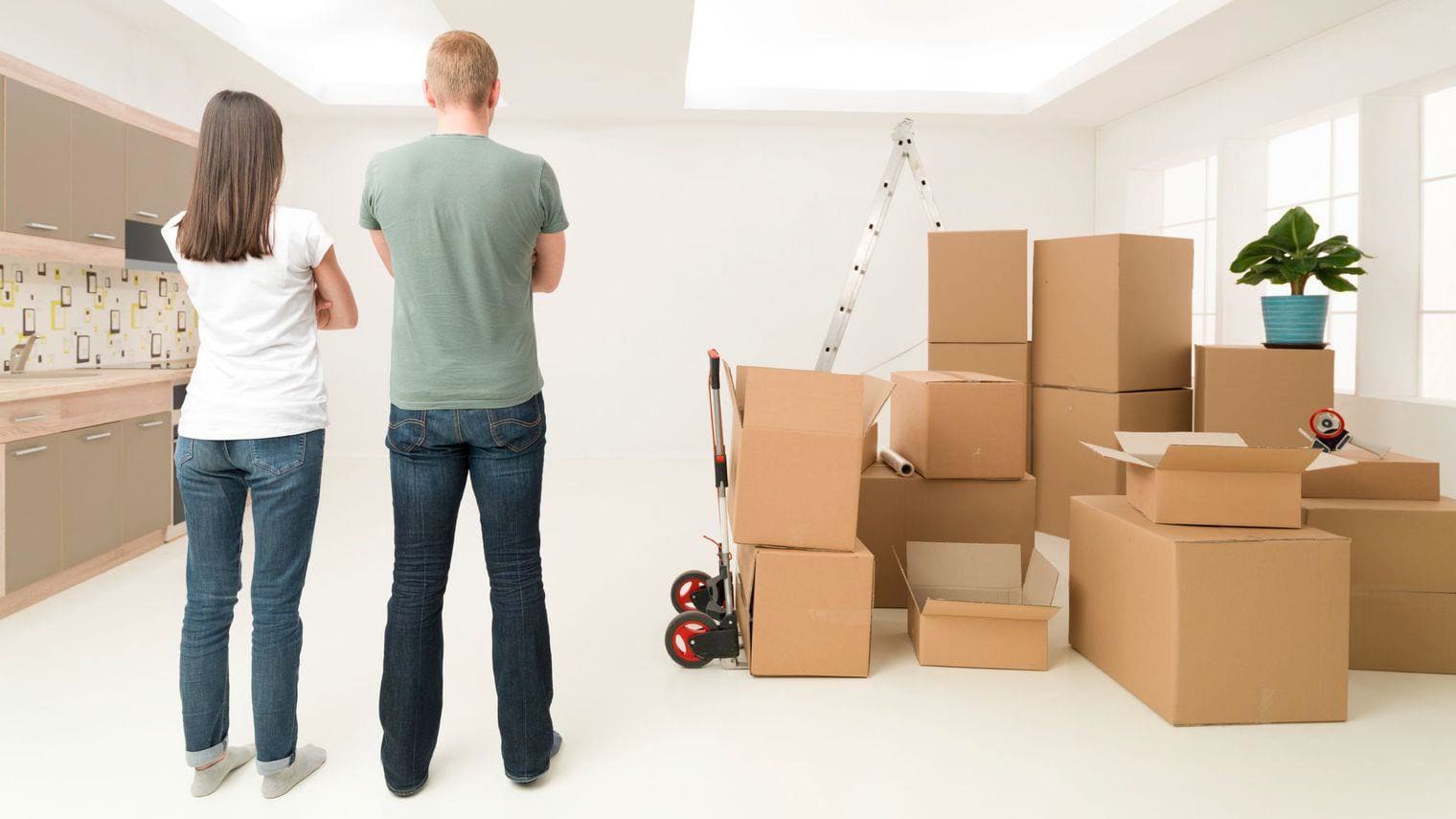 removalists wollongong