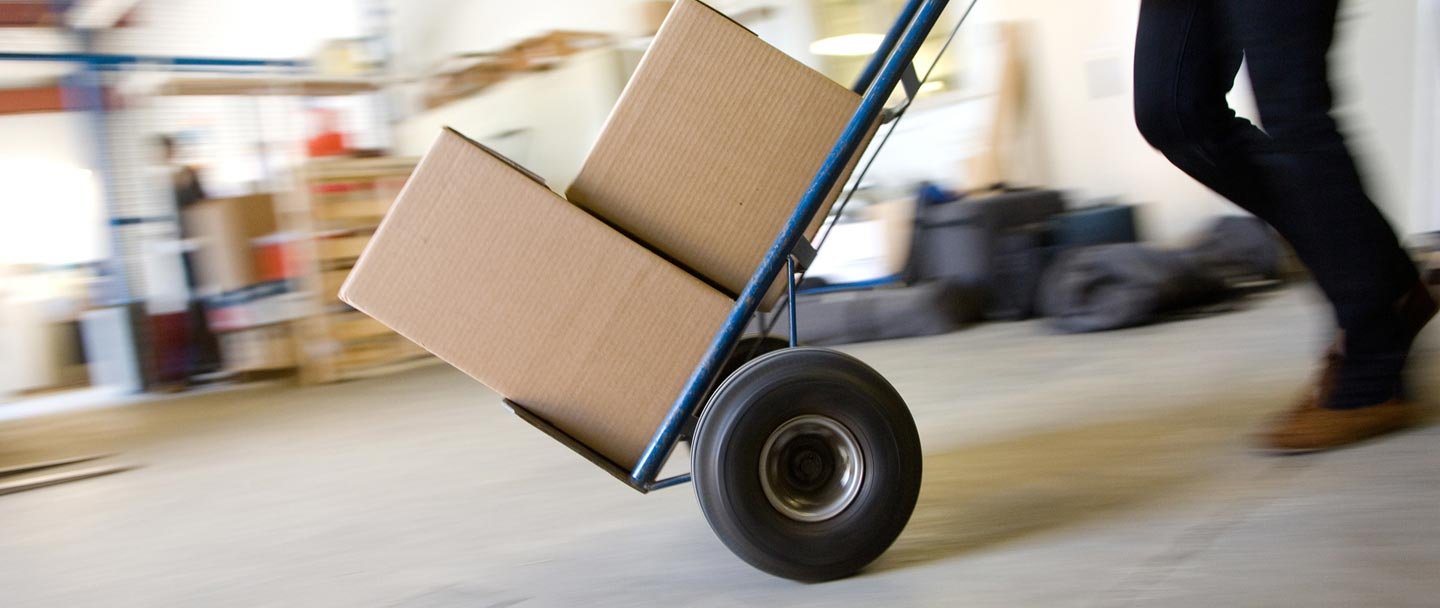 removalists kensington