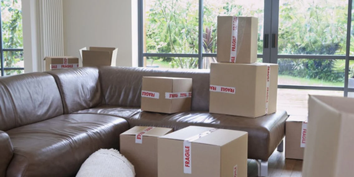 professional furniture removals