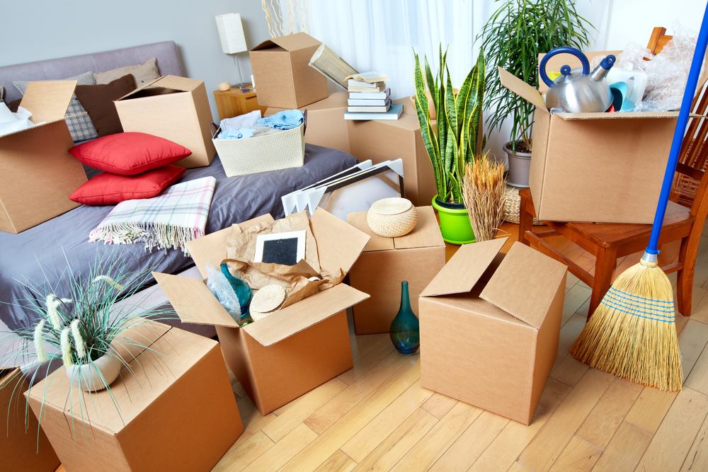 Removalist Eastern Suburbs