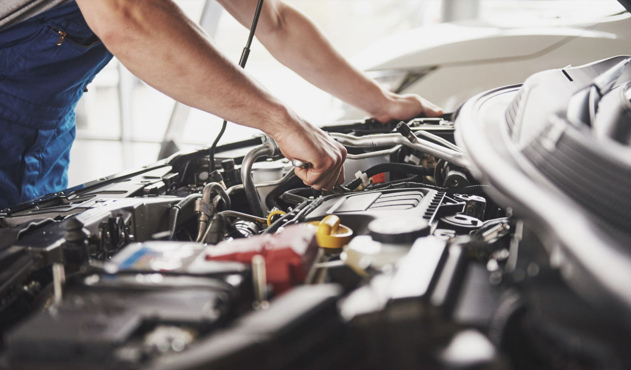 car service Forster