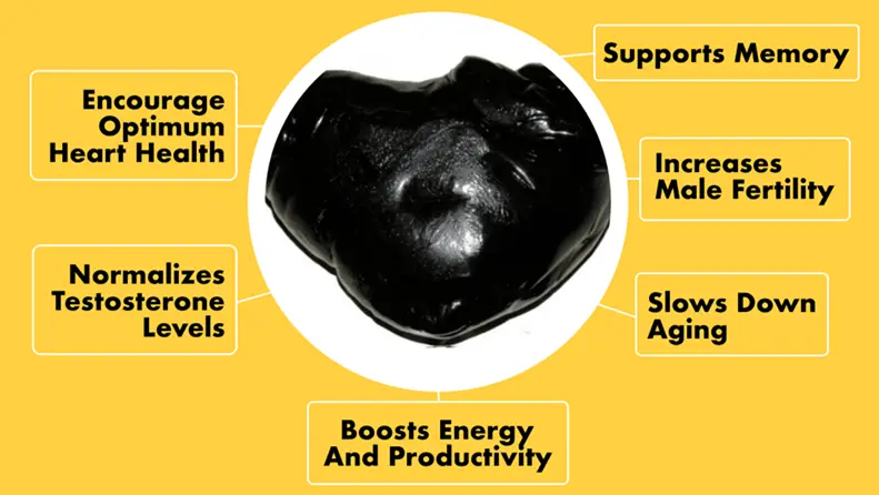 shilajit for men in Australia