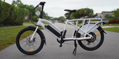 Electric Cargo Bike
