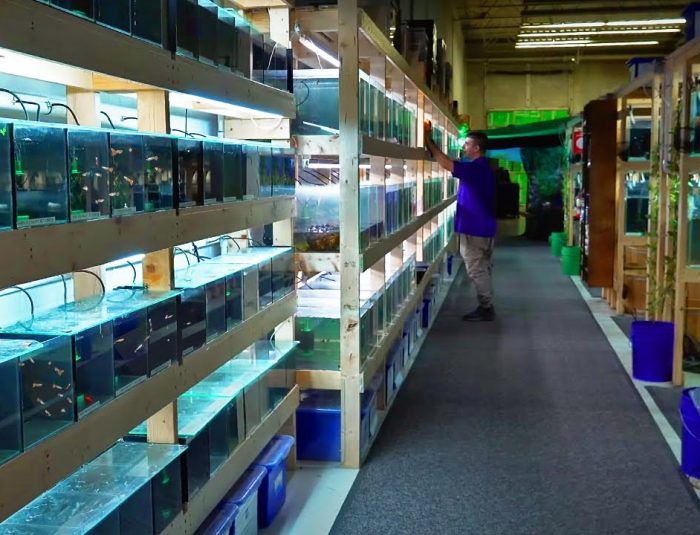 aquarium store near me