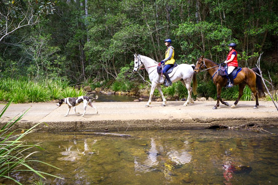 horse riding holidays nsw