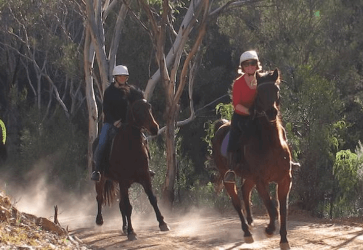 horse riding holidays nsw