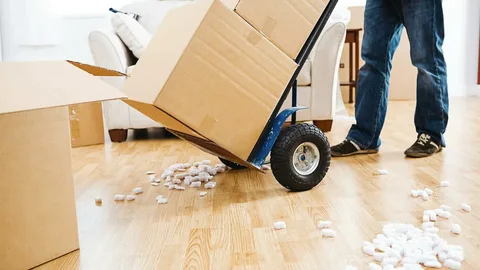 Removals Hills District – Professional Moving Services for a Stress-Free Relocation