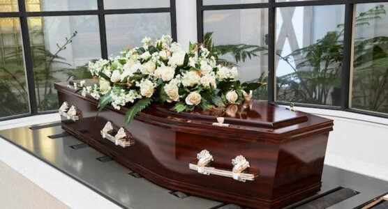 cost of cremation without service